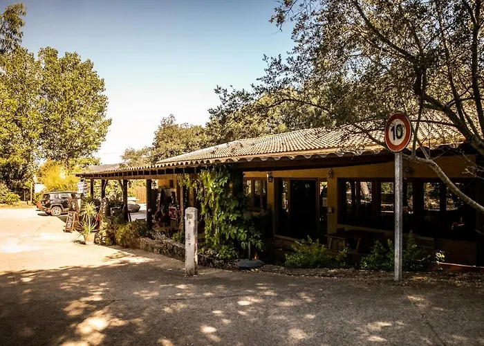 Olva - Maeva Sartene (Corsica)