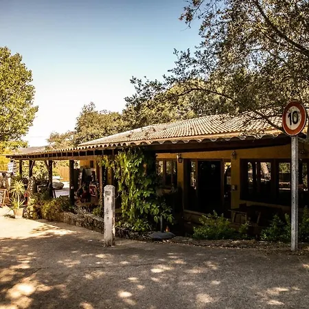 Olva - Maeva Sartene (Corsica)