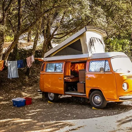 Olva - Maeva Sartène