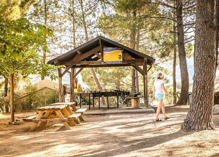 Olva - Maeva 3* サルテーヌ