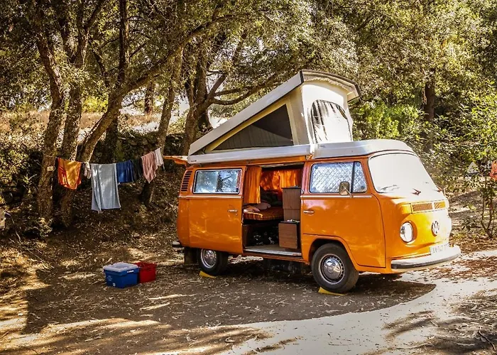 Olva - Maeva サルテーヌ